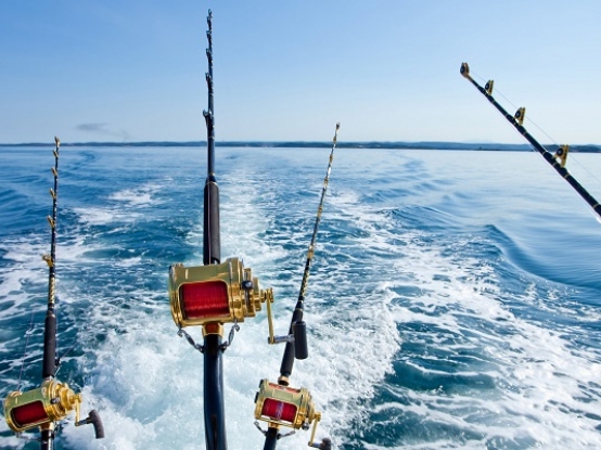 Fight Fish in Islamorada